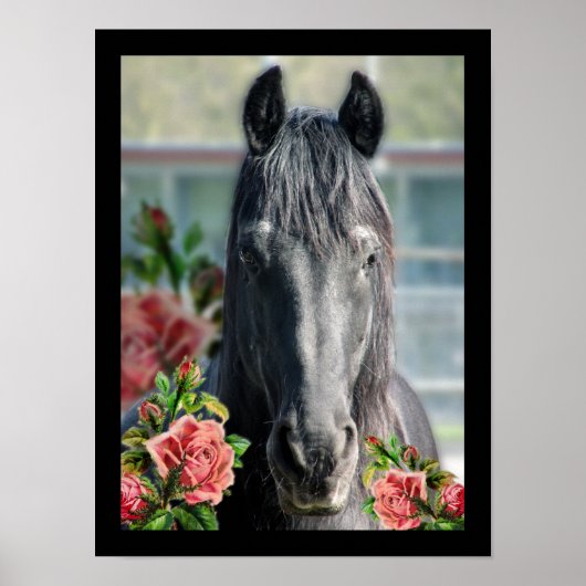 Friesian - Portrait Poster (Vorne)