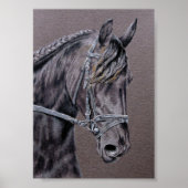 Friesian Poster (Vorne)