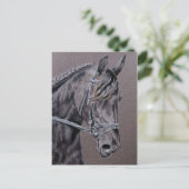 Friesian Postkarte (Stehend Vorderseite)