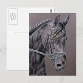 Friesian Postkarte (Vorne/Hinten)