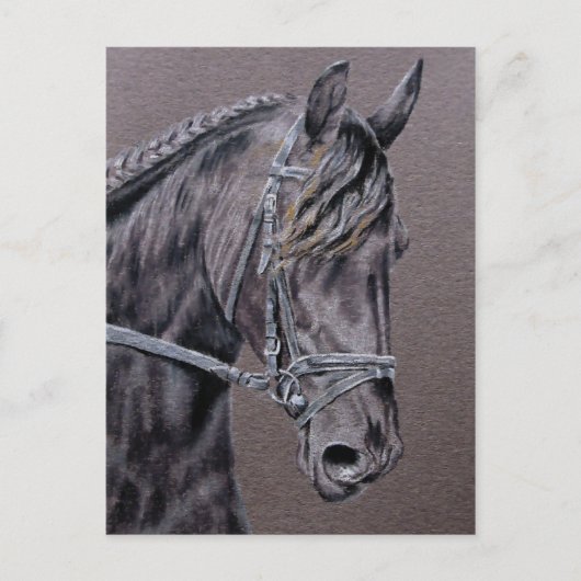 Friesian Postkarte (Vorderseite)