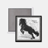 Friesian Power Magnet 2 (Vorderseite/Rückseite)