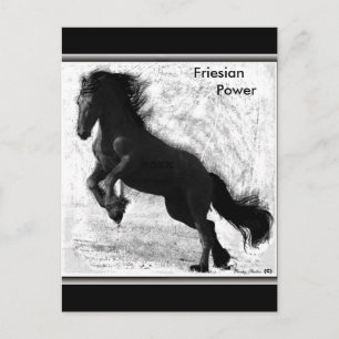 Friesian Power Postcard Nr. 3 Postkarte