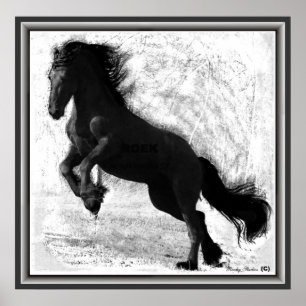Friesian Power Print Poster