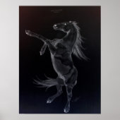 Friesian Rearing Black & White Poster (Vorne)