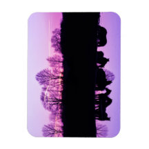 Friesian Reflektionen at Sunset