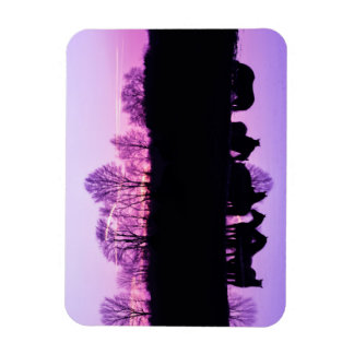 Friesian Reflektionen at Sunset Magnet