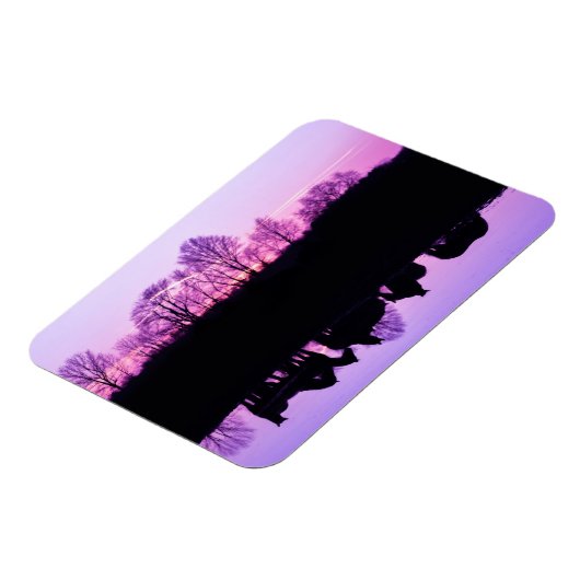 Friesian Reflektionen at Sunset Magnet (Linke Seite)