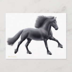 Friesian Running Free Postcard Postkarte