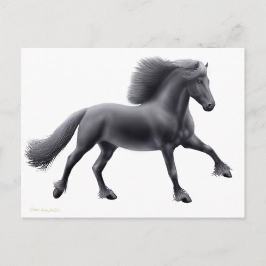 Friesian Running Free Postcard Postkarte (Vorderseite)