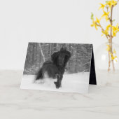 Friesian Runs in the Snow Horse Greeting Card Karte (Gelbe Blume)