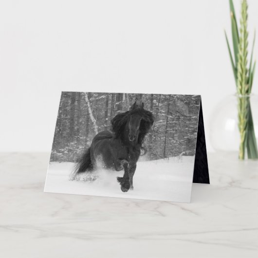 Friesian Runs in the Snow Horse Greeting Card Karte (Vorderseite)