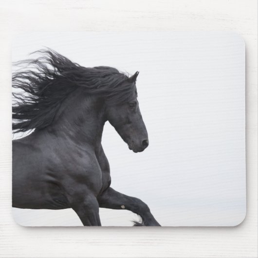 Friesian Runs Mousepad (Vorne)
