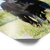 Friesian Stallion 2 Timothy 1:7 Fotodruck (Ecke)