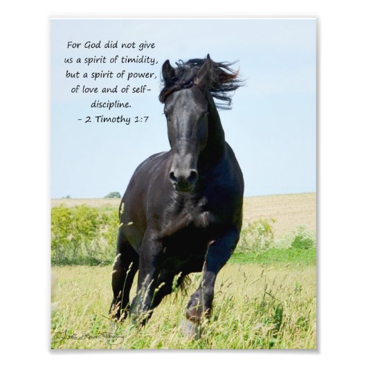 Friesian Stallion 2 Timothy 1:7 Fotodruck (Vorne)