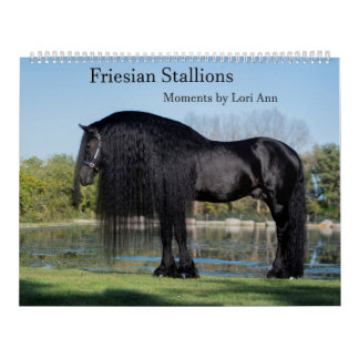 Friesian Stallion Calendar by Moments by Lori Ann Kalender