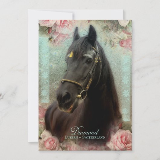 Friesian Stallion DIAMOND - Grußkarte Dankeskarte (Vorderseite)