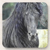 Friesian Stallion Getränkeuntersetzer (Vorderseite)