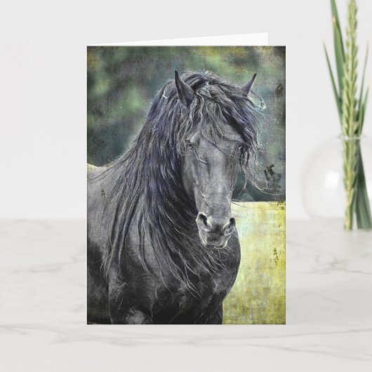 Friesian Stallion Karte (Vorderseite)