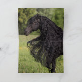 Friesian Stallion Leaps - Horst Grußkarte Karte (Innenseite)