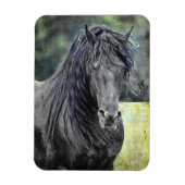 Friesian Stallion Magnet (Vertikal)
