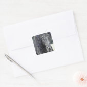 Friesian Stallion Quadratischer Aufkleber (Umschlag)