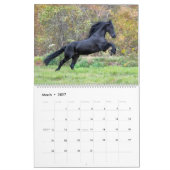 Friesian Stallion Wolfert 467 Sport Kalender (Mär 2027)