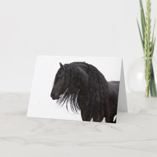 Friesian Stallions Holiday Card Feiertagskarte (Vorderseite)