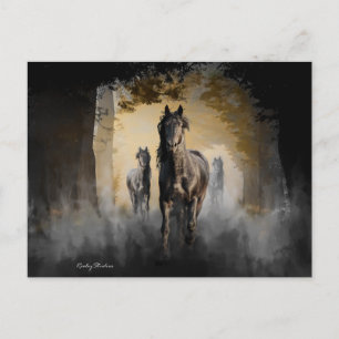 Friesian Three Postkarte