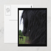 Friesian View Postkarten (Vorne/Hinten)