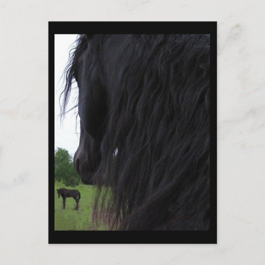 Friesian View Postkarten (Vorderseite)