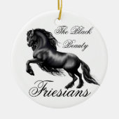 Friesianer Keramikornament (Vorne)
