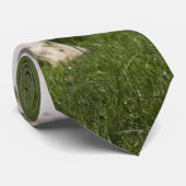 Friesische Kuh Krawatte (Gerollt)