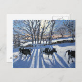 Friesische Kühe 2009 Postkarte (Vorne/Hinten)