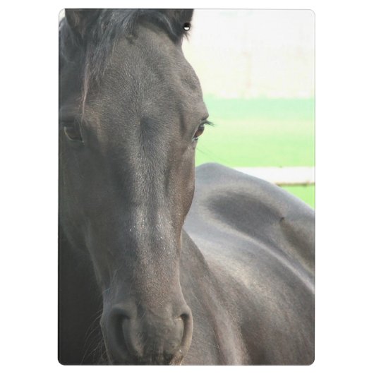 Friesische Pferde Klemmbrett (Rückseite)