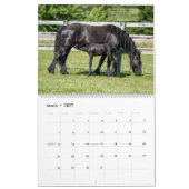 Friesische Pferde mit Bibelversen 2021 Kalender (Mär 2027)