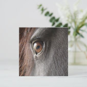 Friesische Pferdeaugen-Einladung Einladung (Stehend Vorderseite)