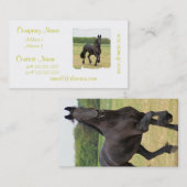 Friesische PferdeVisitenkarten Visitenkarte (Vorne/Hinten)