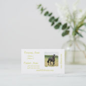 Friesische PferdeVisitenkarten Visitenkarte (Stehend Vorderseite)