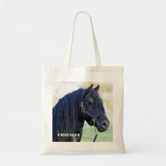 Friesische Taschen-Tasche Tragetasche (Vorne)