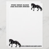 Friesischer Colt Briefbogen (Vorne/Hinten)