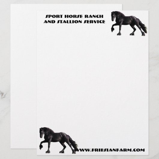 Friesischer Colt Briefbogen (Vorne/Hinten)