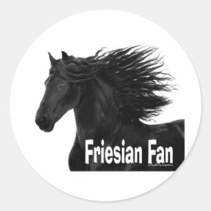 Friesischer Fan Runder Aufkleber