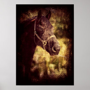 Friesischer Grunge Poster