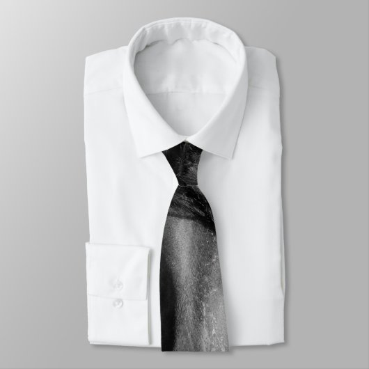 Friesischer Hengst im Wind. Krawatte (Gebunden)