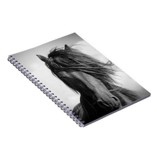 Friesischer Hengst im Wind. Notizblock (Rechte Seite)