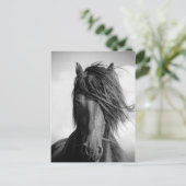 Friesischer Hengst im Wind. Postkarte (Stehend Vorderseite)