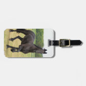 Friesischer PferdeGepäckanhänger Gepäckanhänger (Vorderseite horizontal)