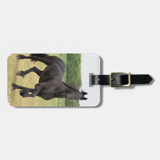 Friesischer PferdeGepäckanhänger Gepäckanhänger (Vorderseite horizontal)