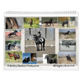 Friesischer Pferdekalender 2013 kolossal Kalender (Rückseite)